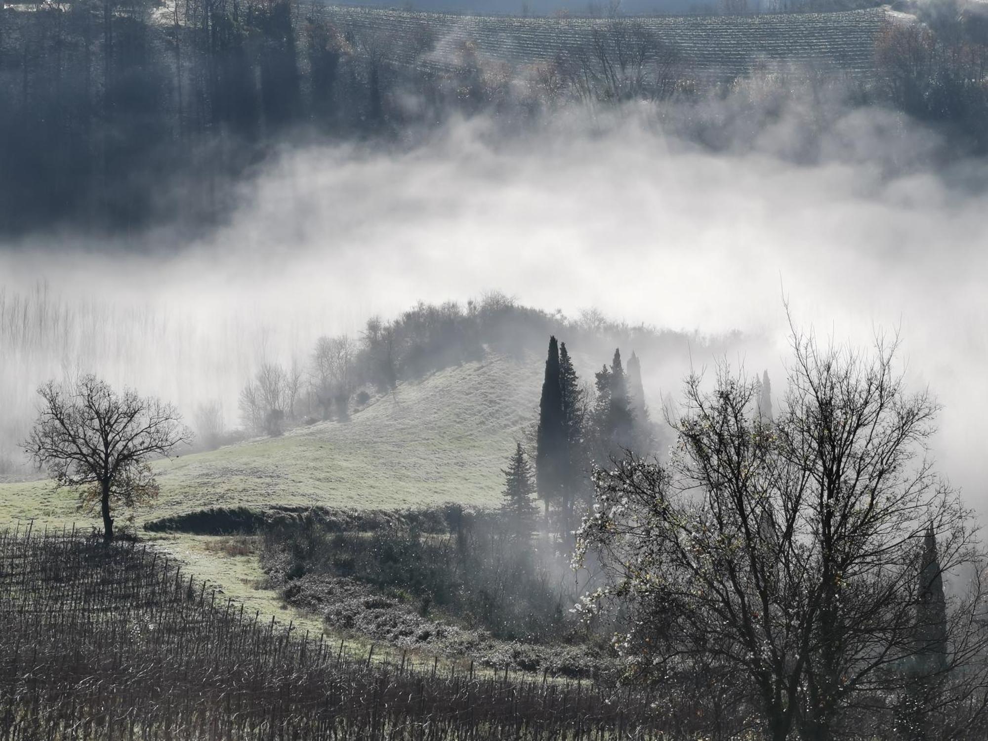 Agriturismo Bio Fattoria Bacio チェルタルド エクステリア 写真
