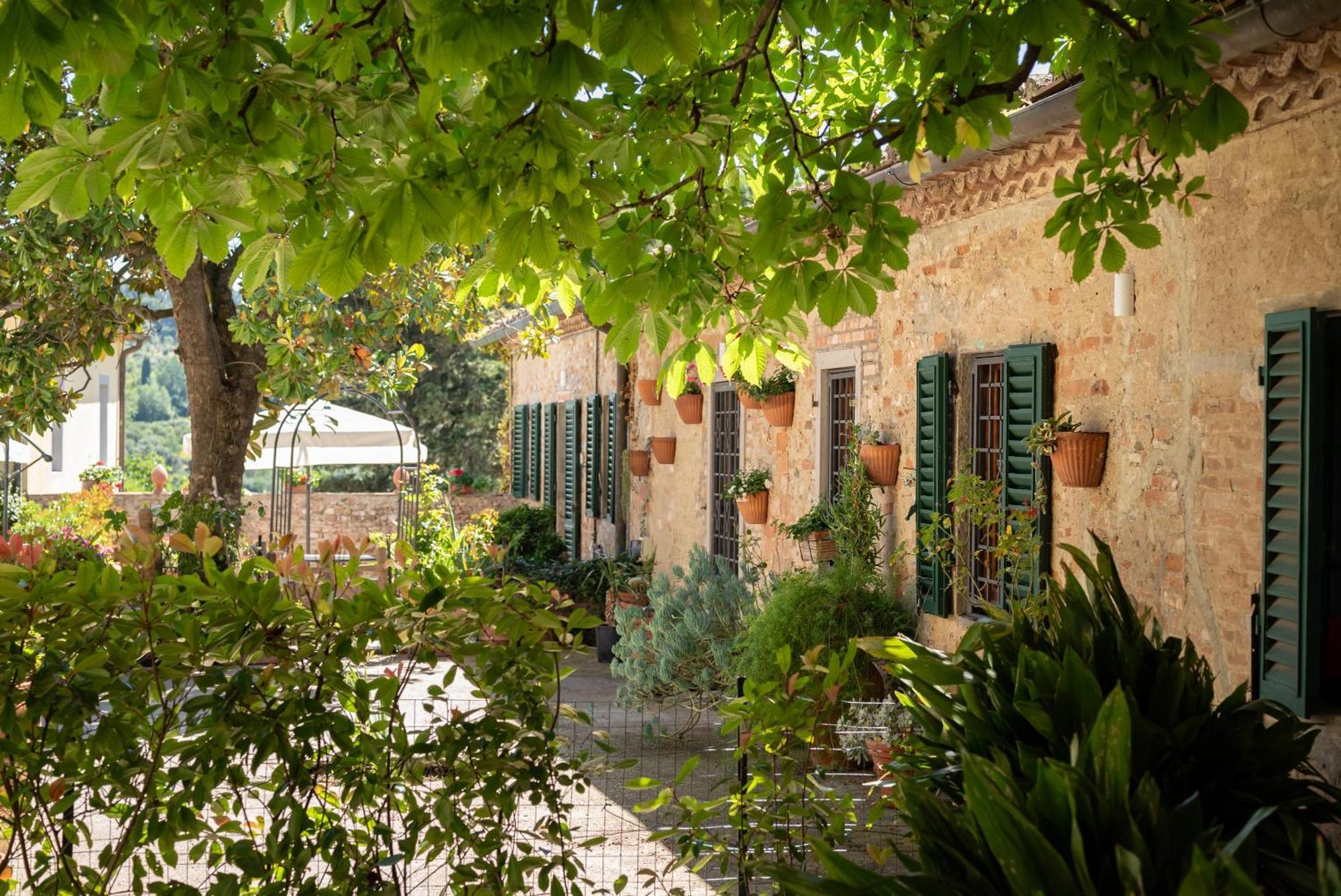 Agriturismo Bio Fattoria Bacio チェルタルド エクステリア 写真