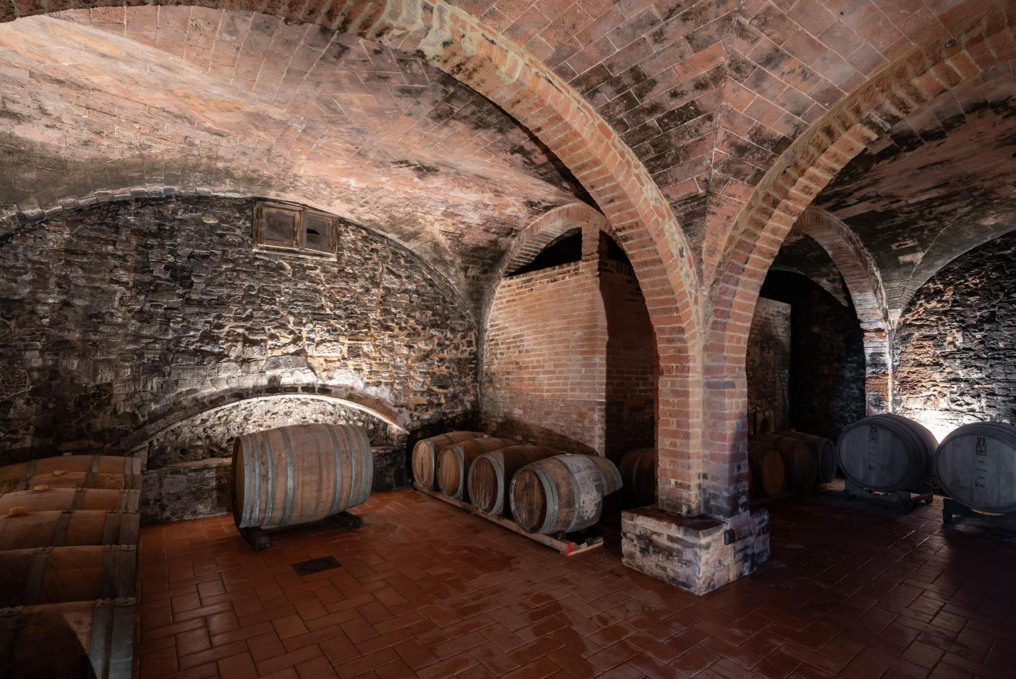 Agriturismo Bio Fattoria Bacio チェルタルド エクステリア 写真